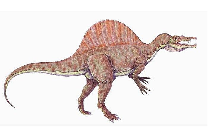 The 15 Types Of Dinosaurs That Used To Roam India | Homegrown India