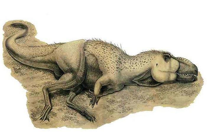 The 15 Types Of Dinosaurs That Used To Roam India | Homegrown India