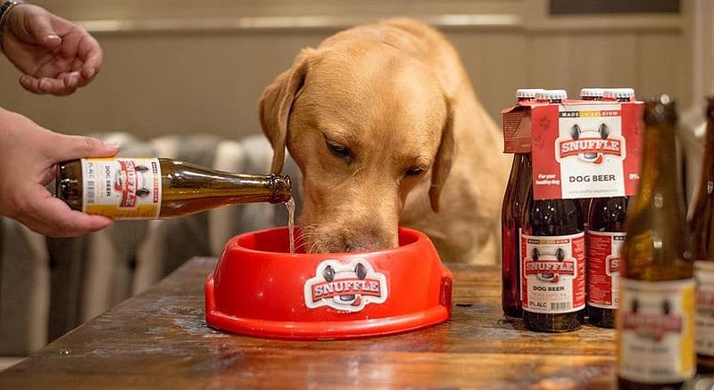 Belgium Takes Beer Making To A New Level With This Beer For Dogs