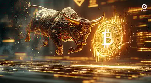 Bitcoin Bull Run 2025