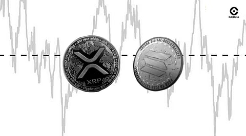 XRP vs Solana: Mapping the Investor Confidence Gap