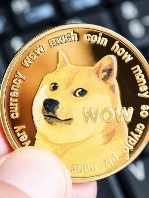 What If You Invested $1000 In DOGE 5 Years Ago