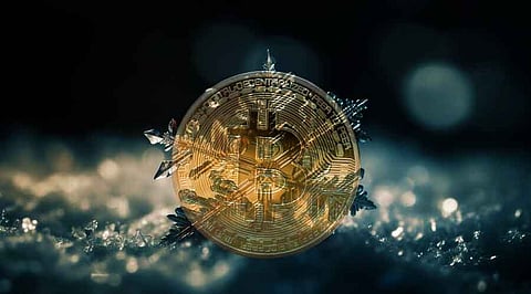 This Cryptocurrency is Ruling the Winter Season