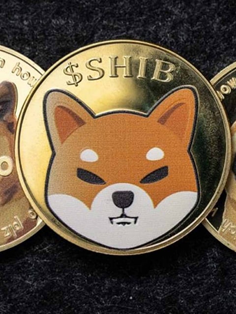 Presale Picks:  Top 5 Meme Coins Set to Dominate February 2024
