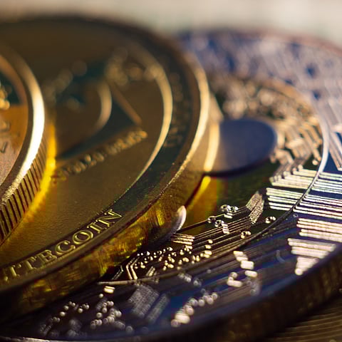 Top Performers: Spotlight on Leading Cryptocurrencies