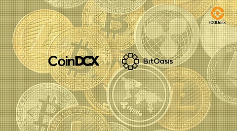 CoinDCX Eyes Global Growth with BitOasis Acquisition
