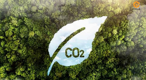 Paebbl Secures $25 Million from Amazon Impact Fund to Scale Carbon Solutions