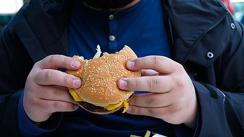 Specialised brain neurons may hold key to combat overeating, obesity