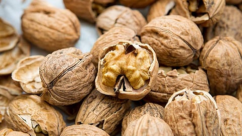 Here’s how handful of walnuts for breakfast impacts brain power