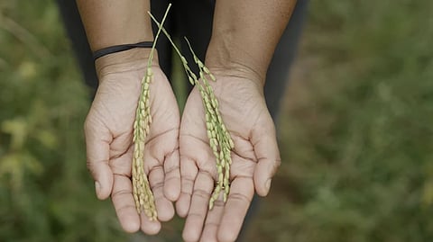 Indian success story wins Mati Carbon XPRIZE Carbon Removal competition’s grand prize