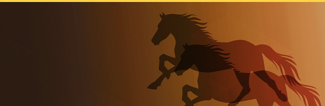 The Horse in the Boardroom
