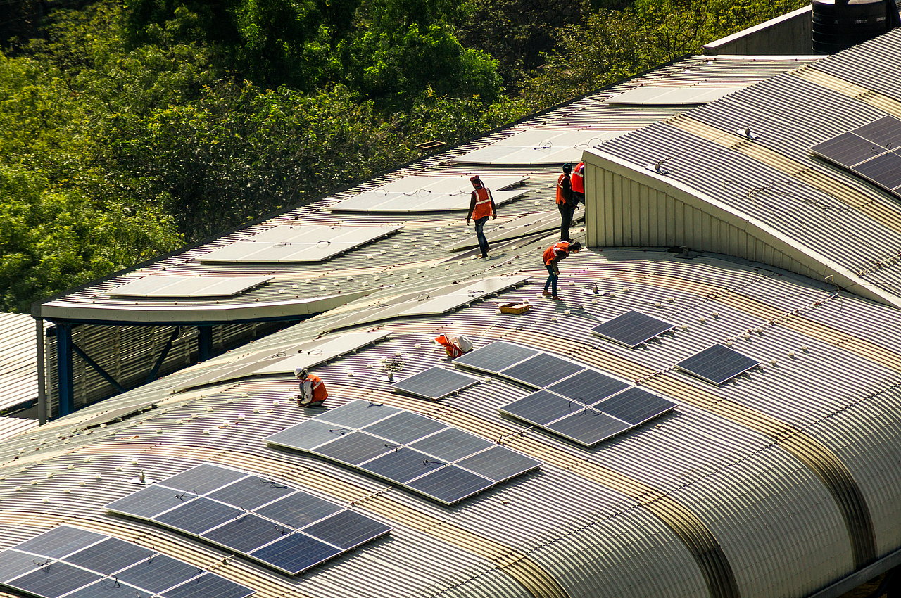 The Sustainability Leader as Value Creator