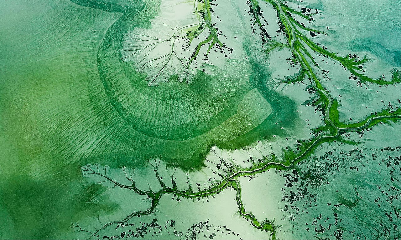Too Green to be True?
