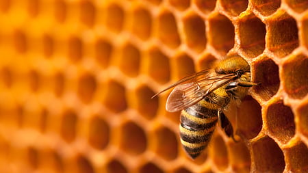 The Future of B2B Marketing: Insights, Innovation and Impact