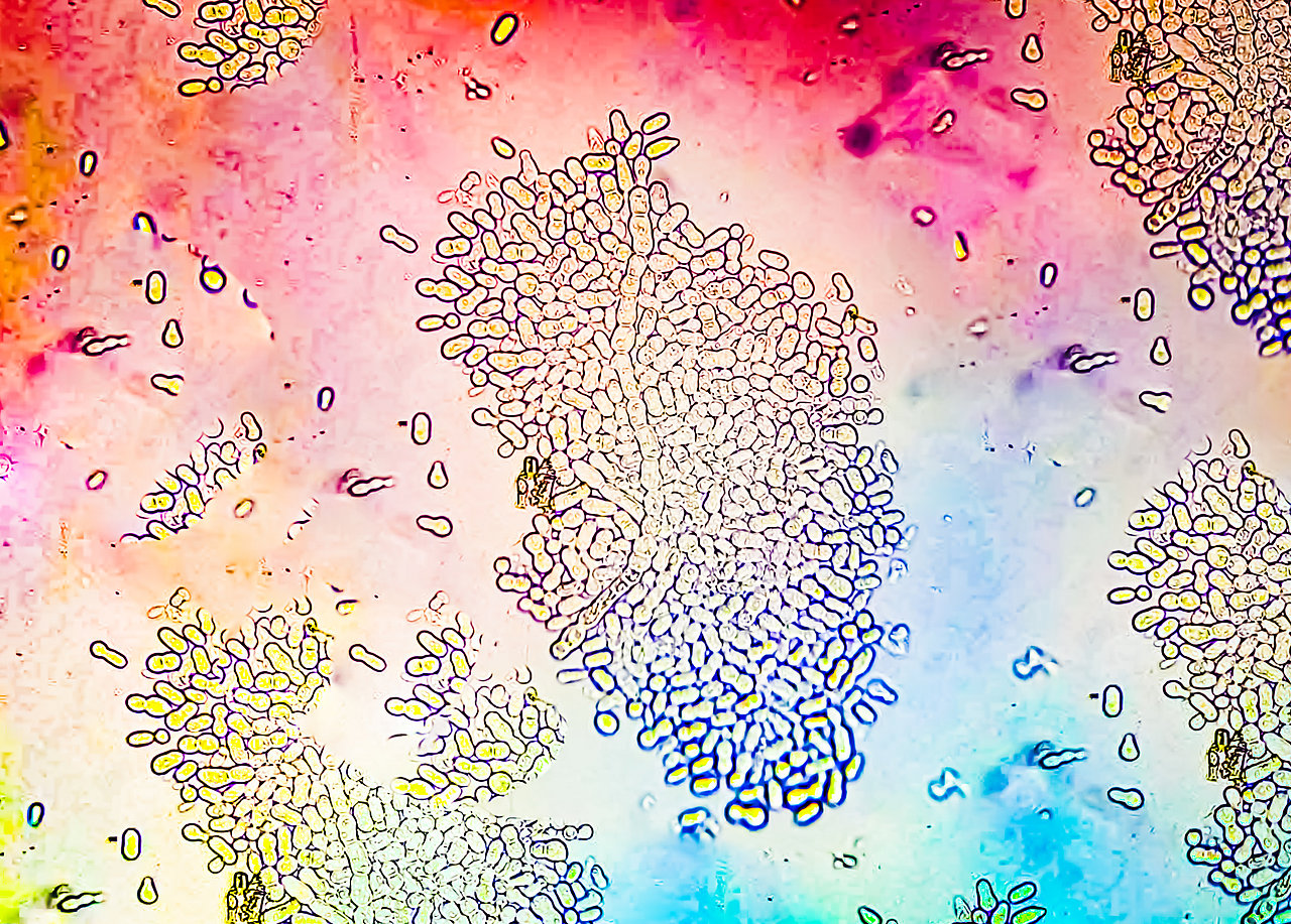 Pioneering Sustainability in Antibiotics  