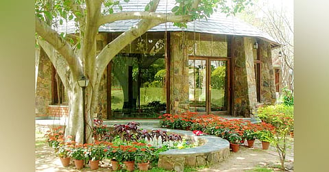 Yeravada Stud Farm