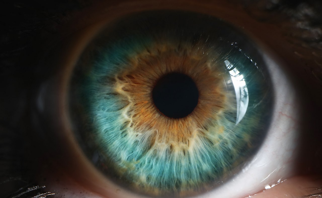 Neuromarketing: the New Science of Consumer Behaviour 