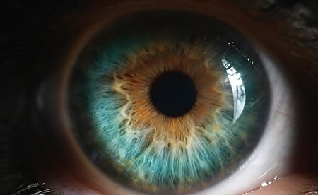 Neuromarketing: the New Science of Consumer Behaviour 