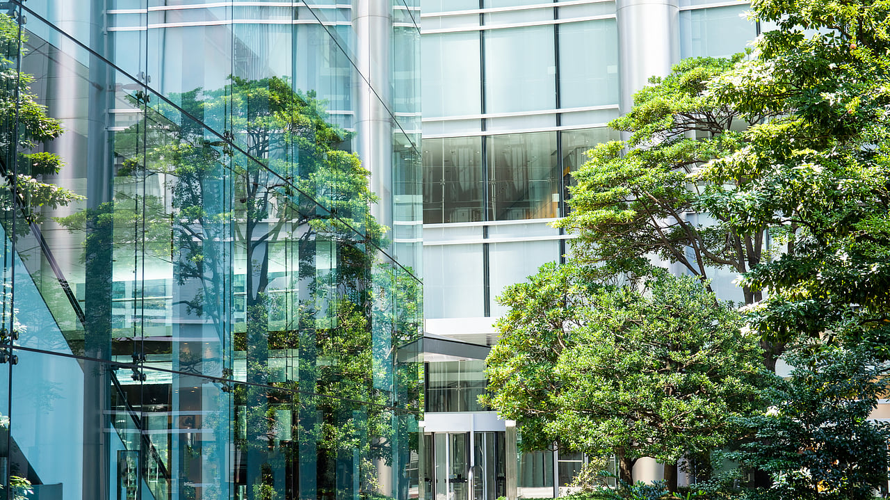 Building Transition-Ready Business Portfolios 	 