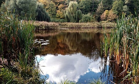 There are long-term benefits of NbS interventions (Image: Citizen)