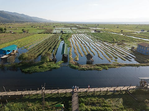 Floating farms: A resilient future