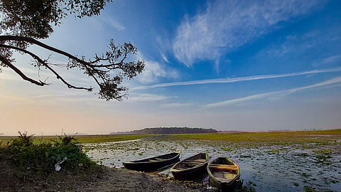 In November 2020, the MoEFCC declared Kabartal the first Ramsar site in Bihar (Image: Mausam Nandan; Wikimedia Commons; CC BY-SA 4.0)
