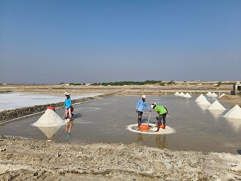 Life around Sambhar Lake: The impact of community water conservation (Image: Swapna Sarita Mohanty)
