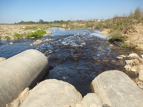 AIIMS Delhi tasked with major health survey amidst UP water pollution crisis (Image: India Water Portal Flickr)


