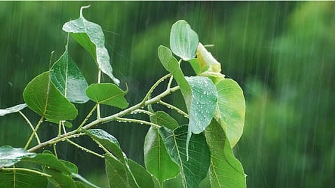 The monsoon is shifting in India
