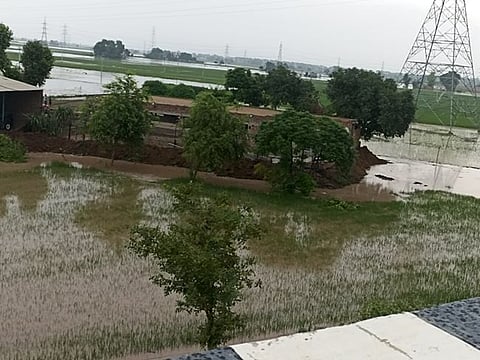 Agriculture fields flooded