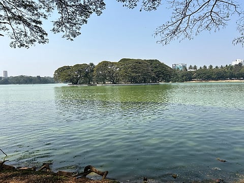 Ulsoor lake at Bengaluru 