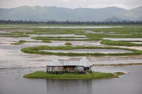 Loktak lake is changing: Satellite study links hydropower, livelihoods, and wetland degradation