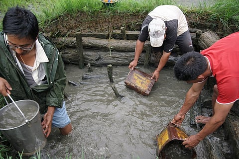 Farmers catching fish inside a Khaichum (M Biswanath Sinha)