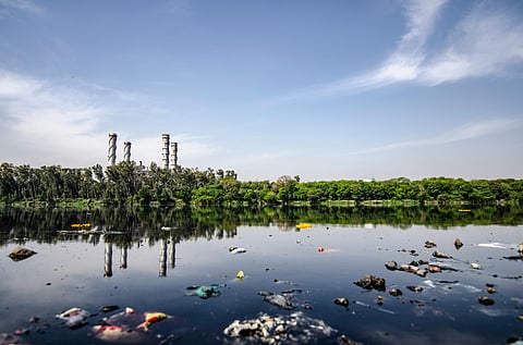 The hidden link between industrial farming, global trade, and disappearing rivers.