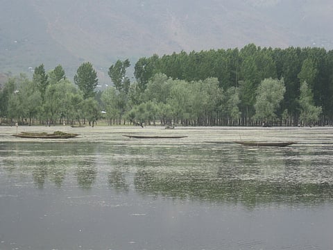Wular lake in Kashmir.