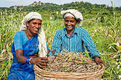 Extreme heat is reshaping India's agrifood system