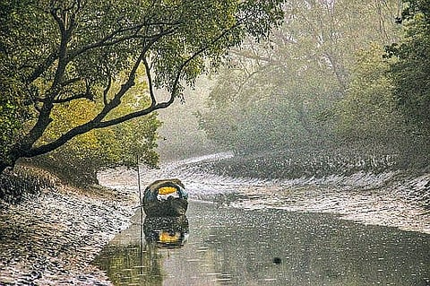 Inside the Sundarbans