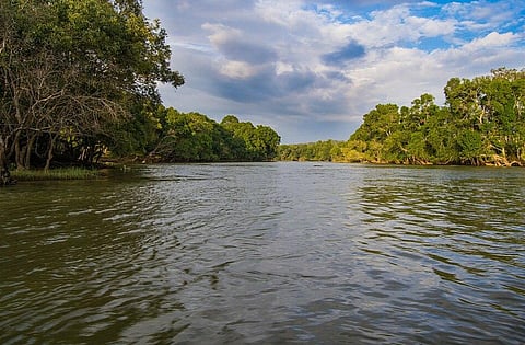 The river Kaveri is flowing at Dubare Forest near Madikeri, Karnataka. Image Source: Ashwin Geet Dsa via Wikimedia Commons