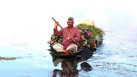 Abdul Majid paddles a boat loaded with harvested lotus stems and weed cut from the lake. 