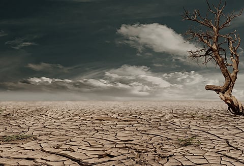 How is drought declared and managed in India.. Image Source: Pixaby free image.