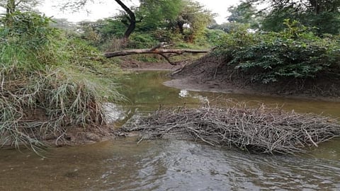 The river Kanari and her story (Image Source: Ayushi Trivedi)