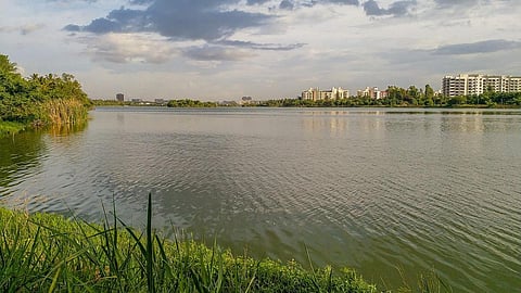 Jakkur lake in Bengaluru (Image Source: Mike Prince via Wikimedia Commons)