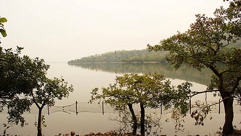 Laknavaram Cheruvu in Warangal, Telangana