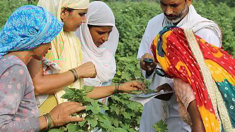 Women farmers studying insects during a class (Source: Keet Saksharta Mission)