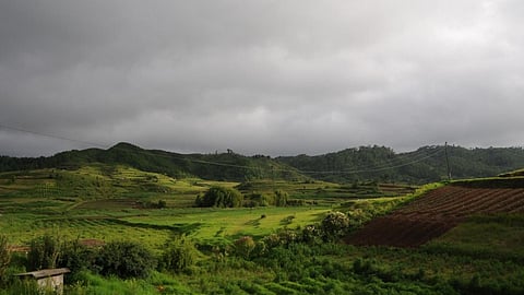 Green but water-scarce