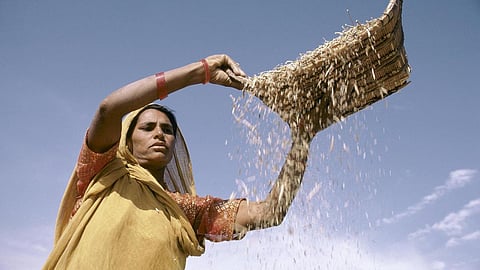 Woman farmer sifting grain (Image: Ray Witlin/World Bank CC BY-NC-ND 2.0)