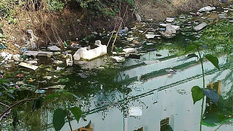 Water-borne litter in Salem, Tamil Nadu. (Source: Parvathisri, Wikimedia Commons)