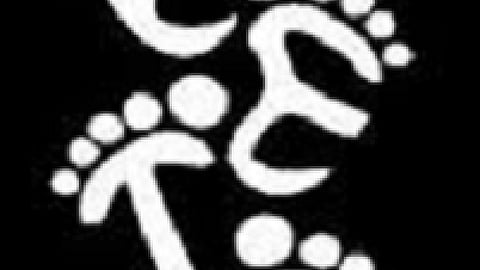 Young Ecologists Talk and Interact