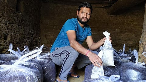 मशरूम के साथ मनोज बिष्ट,फोटो क्रेडिट:चरखा फीचर