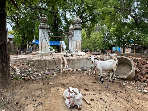 डाढापुर के जिस कुएं पर एक समय महिलाओं की बैठकी, सखियों की बातचीत हुआ करती थी, लोग पीने के पानी के लिए जिसपर आश्रित थे, आज वहां गंदगी है। अब यहां बकरियां बांधी जाती हैं।
